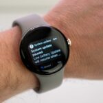 The Pixel Watch January 2023 update is pretty light